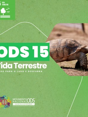 ODS 15: Vida Terrestre